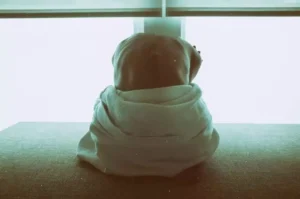 A person with a bare back sits facing a bright window,