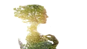 meditation as addiction detoxification